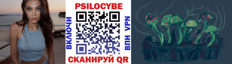Псилоцибиновые грибы прущие грибы  где можно купить наркотик  Чистополь 