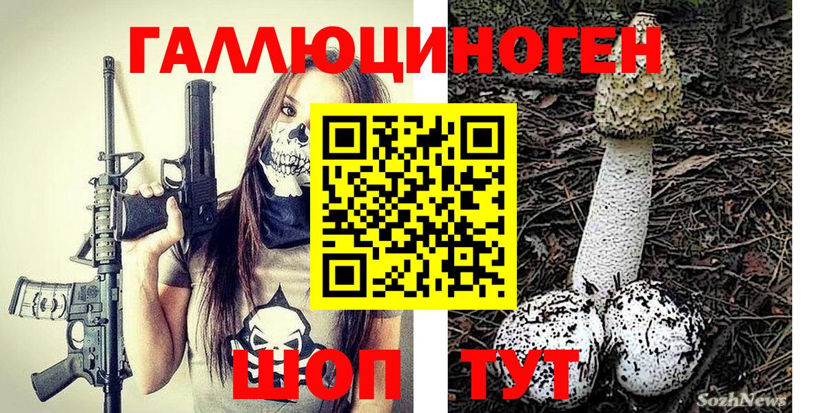 Чистополь  Псилоцибиновые грибы Psilocybe  Вход с VPN  Псилоцибиновые грибы мухоморы 
